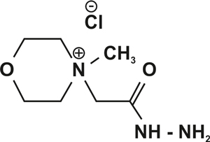 4-(2-Hydrazino-2-oxoethyl)-4-methylmorpholine-4-iumchloride (HMMC)