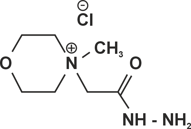 4-(2-Hydrazino-2-oxoethyl)-4-methylmorpholine-4-ium  chloride (HMMC)