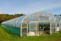 2-(4-Methoxyphenyl)4,6-bis-(2,4-dihydroxyphenyl) -1,3,5-triazine (Appolo-125 (P))