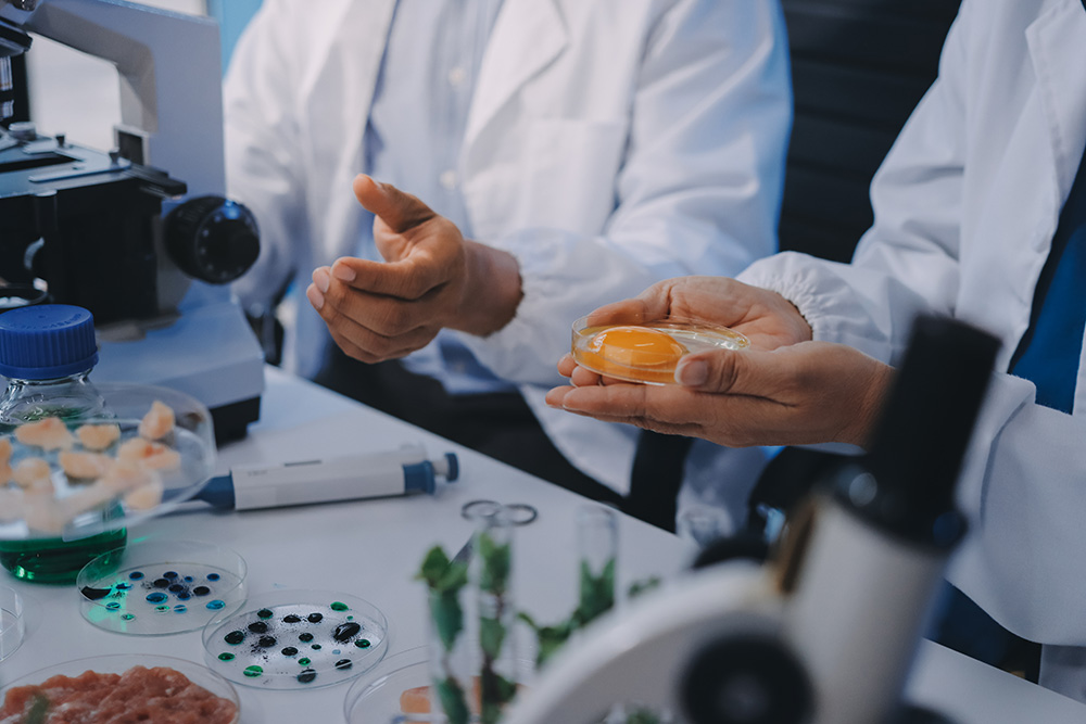 1,3-Bis(1,1-dimethylpropyl) dicarbonate (Stellar-2037)