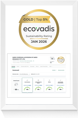 EcoVadis GOLD